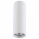 Потолочный светильник Lightstar Rullo 214496