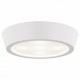 Потолочный светильник Lightstar Urbano Mini LED 214702