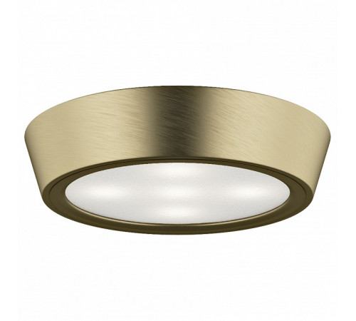 Потолочный светильник Lightstar Urbano Mini LED 214712