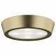 Потолочный светильник Lightstar Urbano Mini LED 214712