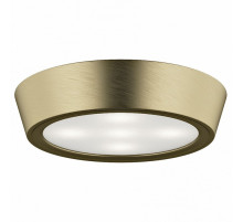 Потолочный светильник Lightstar Urbano Mini LED 214714