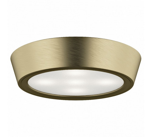 Потолочный светильник Lightstar Urbano Mini LED 214714