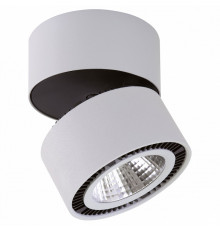 Потолочный светодиодный светильник Lightstar Forte Muro 214830