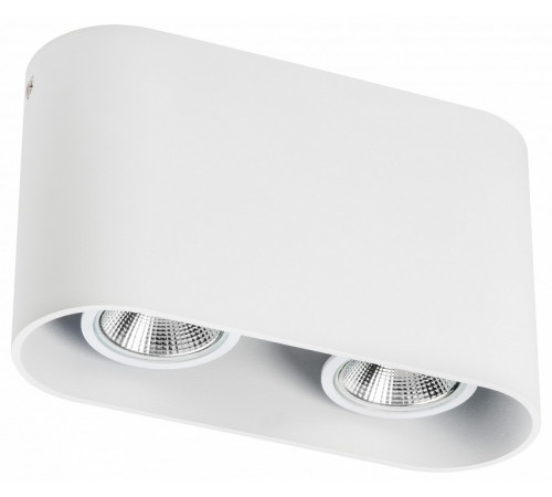 Накладной светильник Lightstar Rullo 214866