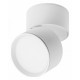 Накладной спот Lightstar Acuto 215836