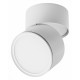 Накладной спот Lightstar Acuto 215886