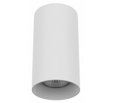 Потолочный светильник Lightstar Rullo 216486
