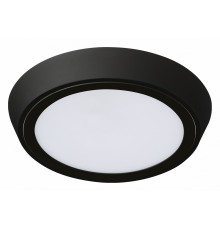 Уличный светильник Lightstar 216972