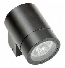 Уличный настенный светильник Lightstar Paro 350607
