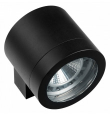 Уличный настенный светильник Lightstar Paro 350617