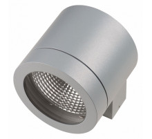 Уличный настенный светильник Lightstar Paro 350619