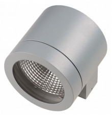 Уличный настенный светильник Lightstar Paro 350619