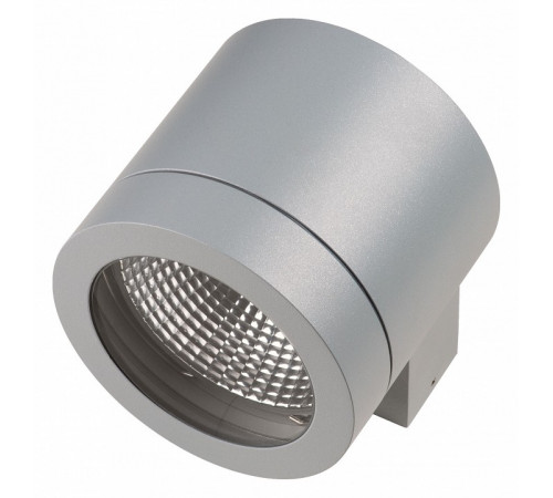 Уличный настенный светильник Lightstar Paro 350619 Уличный настенный светильник Lightstar Paro 350619