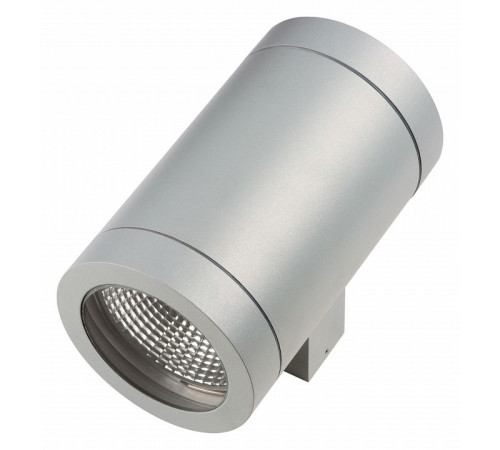 Уличный настенный светильник Lightstar Paro 351619 Уличный настенный светильник Lightstar Paro 351619