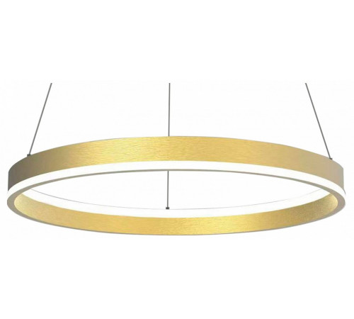 Подвесной светильник Lightstar Rotonda 736402 Подвесной светильник Lightstar Rotonda 736402