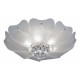 Потолочный светильник Lightstar Lobo 804020