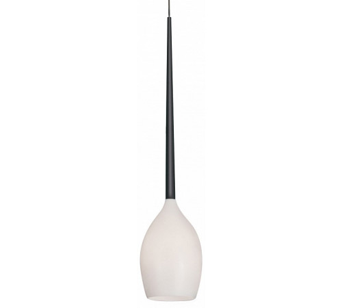 Подвесной светильник Lightstar Meta Duovo 807110 Подвесной светильник Lightstar Meta Duovo 807110