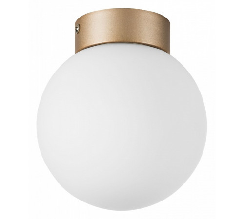 Потолочный светильник Lightstar Globo 812013 Потолочный светильник Lightstar Globo 812013