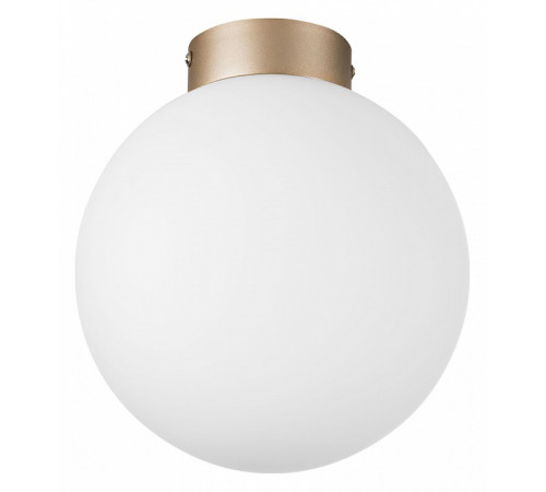 Потолочный светильник Lightstar Globo 812023 Потолочный светильник Lightstar Globo 812023