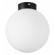 Потолочный светильник Lightstar Globo 812027
