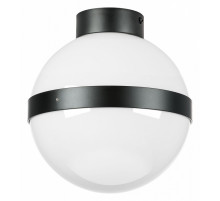 Потолочный светильник Lightstar Globo 812117