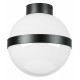 Потолочный светильник Lightstar Globo 812117
