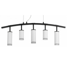 Подвесной светильник Lightstar Rullo LR7353628630 (571735+214436-2+214486-3+202430-5)