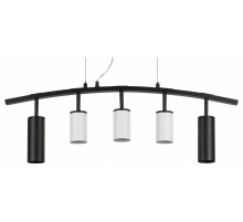 Подвесной светильник Lightstar Rullo LR735872363 (571735+214436-3+214487-2)