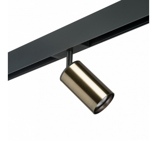 Трековый светильник Lightstar Rullo PRO431 (214431+595057)