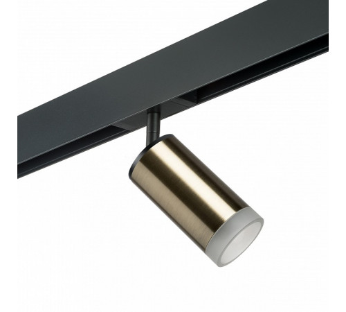 Трековый светильник Lightstar Rullo PRO43130 (214431+595057+202430)