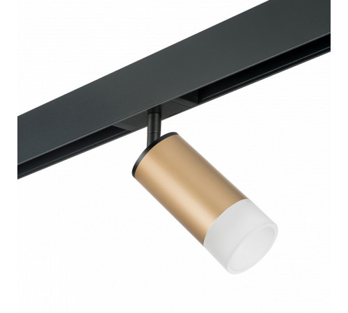 Трековый светильник Lightstar Rullo PRO44031 (214440+595057+202431)