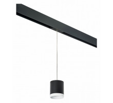 Трековый однофазный светильник Lightstar Rullo (213487+595887+203486) PRORP34873486