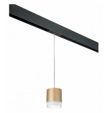 Трековый однофазный светильник Lightstar Rullo (213490+595887+202480) PRORP349080