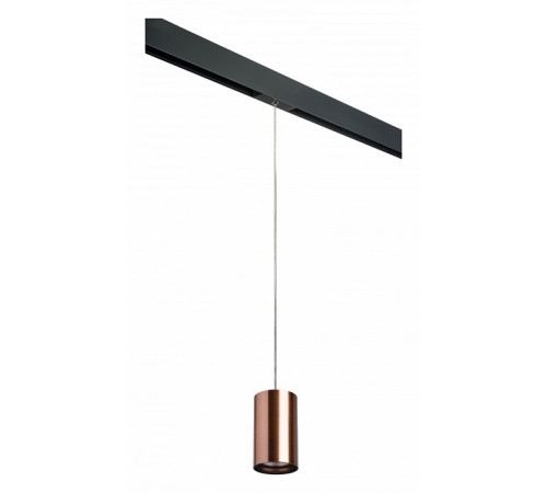 Трековый светильник Lightstar Rullo PRORP430 (214430+595857)