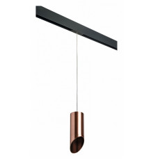 Трековый светильник Lightstar Rullo PRORP43030 (214430+595857+201430)