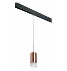 Трековый светильник Lightstar Rullo PRORP43031 (214430+595857+202431)