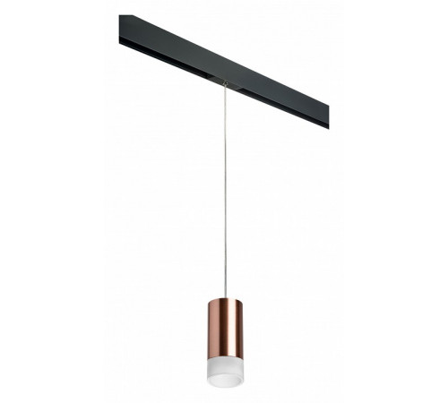 Трековый светильник Lightstar Rullo PRORP43031 (214430+595857+202431)