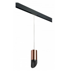 Трековый светильник Lightstar Rullo PRORP43037 (214430+595857+201437)