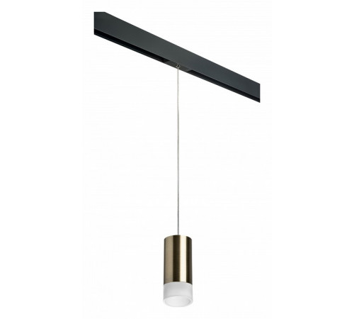 Трековый светильник Lightstar Rullo PRORP43131 (214431+595857+202431)