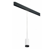 Трековый светильник Lightstar Rullo PRORP4363437 (214436+595857+203437)