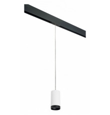 Трековый светильник Lightstar Rullo PRORP4363437 (214436+595857+203437)