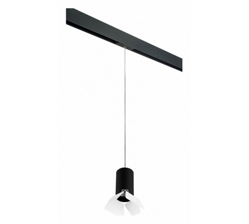 Трековый светильник Lightstar Rullo PRORP437436 (214437+595857+202436)