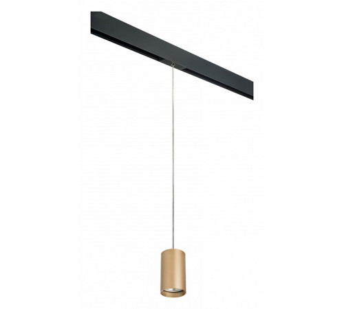 Трековый светильник Lightstar Rullo PRORP440 (214440+595857) Трековый светильник Lightstar Rullo PRORP440 (214440+595857)