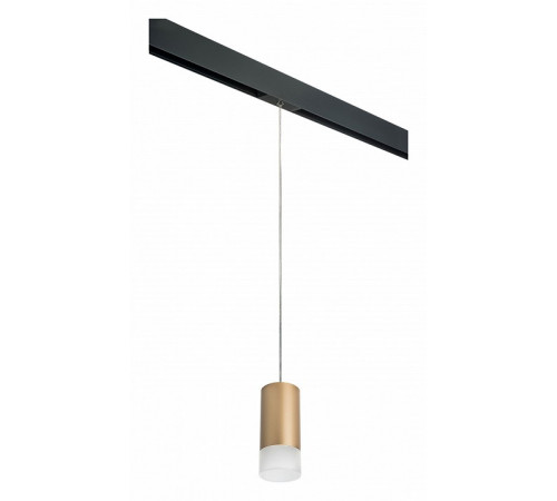 Трековый светильник Lightstar Rullo PRORP440131 (214440+595857+202431)