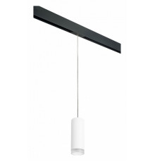 Трековый светильник Lightstar Rullo PRORP48630 (214486+595857+202430)
