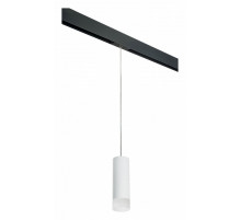 Трековый светильник Lightstar Rullo PRORP48631 (214486+595857+202431)