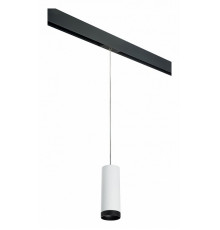 Трековый светильник Lightstar Rullo PRORP4863437 (214486+595857+203437)