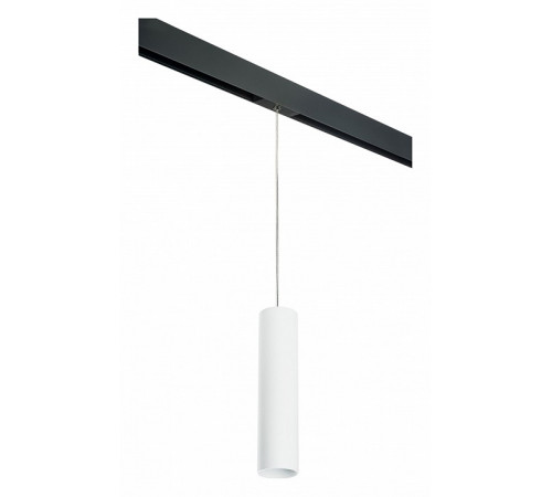 Трековый светильник Lightstar Rullo PRORP496 (214496+595857)