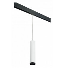 Трековый светильник Lightstar Rullo PRORP4963437 (214496+595857+203437)