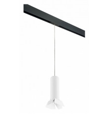 Трековый светильник Lightstar Rullo PRORP496436 (214496+595857+202436)